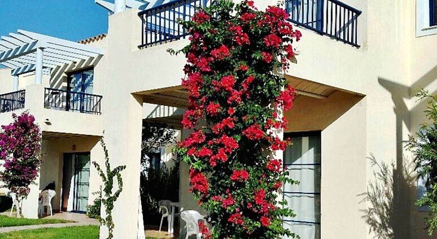 Apartamentos Primasud Punta Prima  Exterior foto